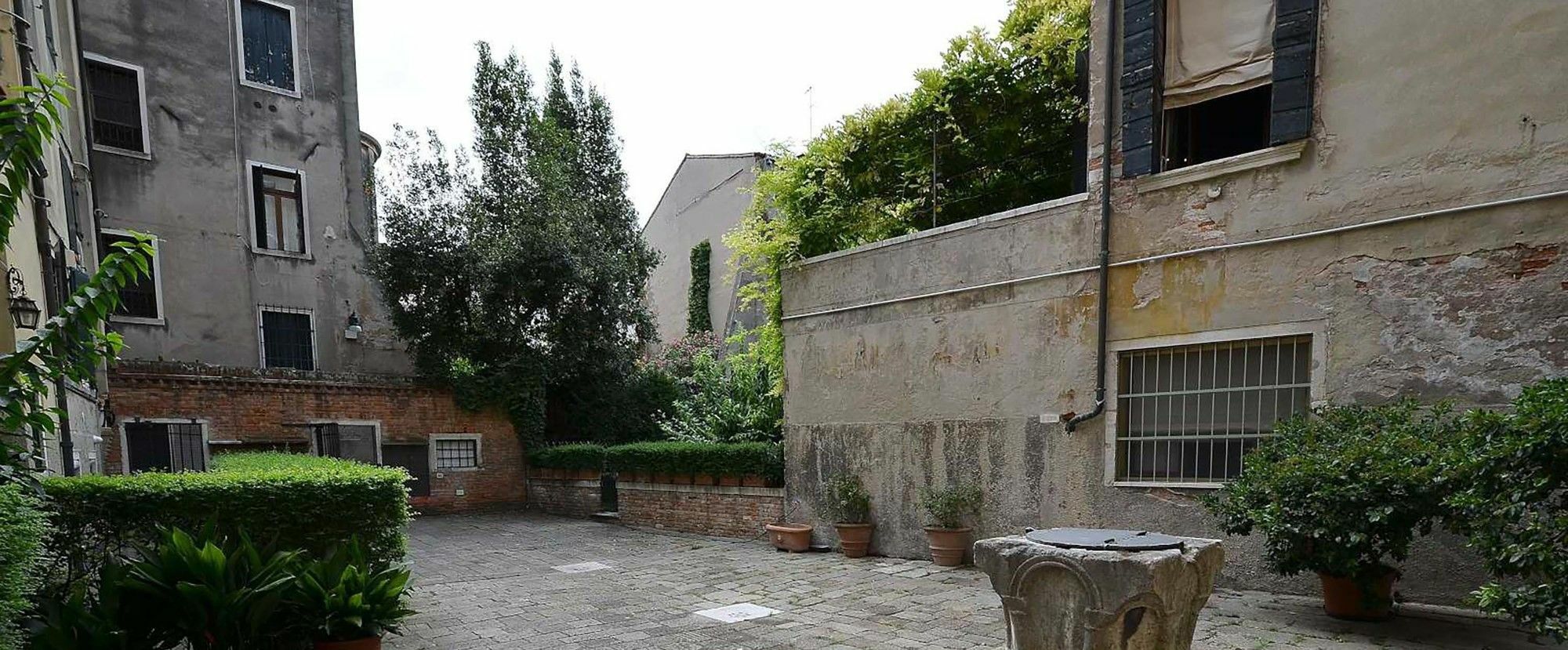 Tribuno Grand Canal Венеция Екстериор снимка